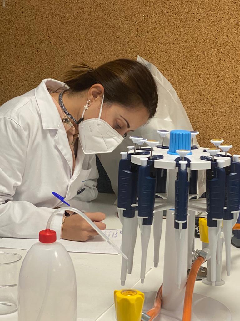 3 opciones si no obtengo plaza en la universidad?