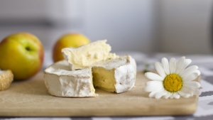 Diseno sin titulo 27